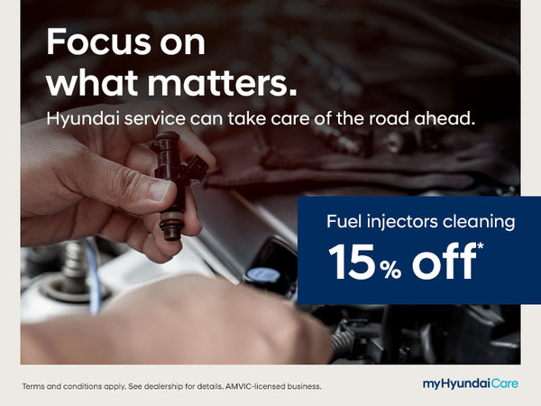 Fuel Injector Cleaner | 15% off