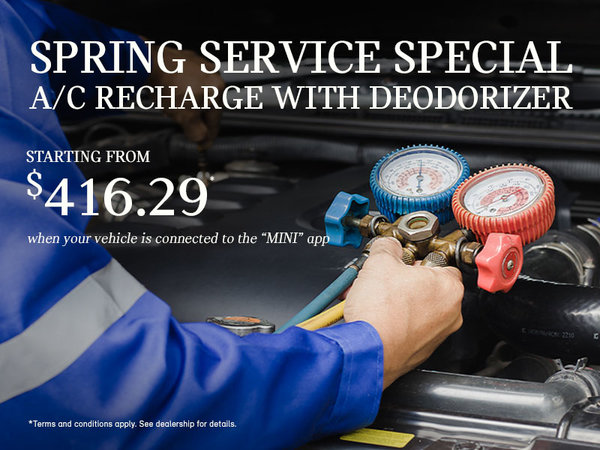 Spring Service Special