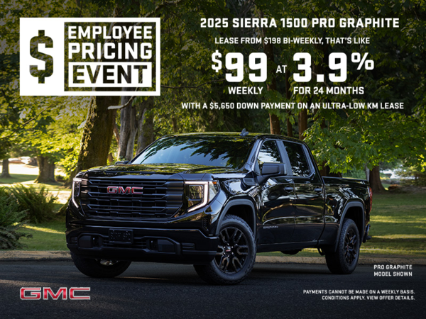 The 2025 GMC Sierra 1500 Pro Graphite