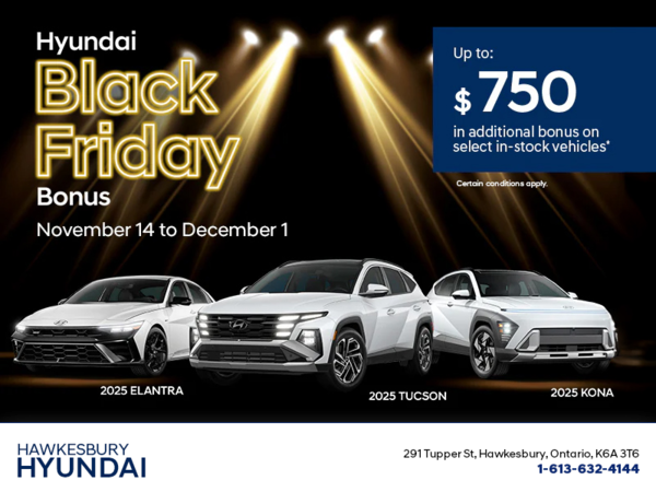 Hyundai Black Friday Bonus.