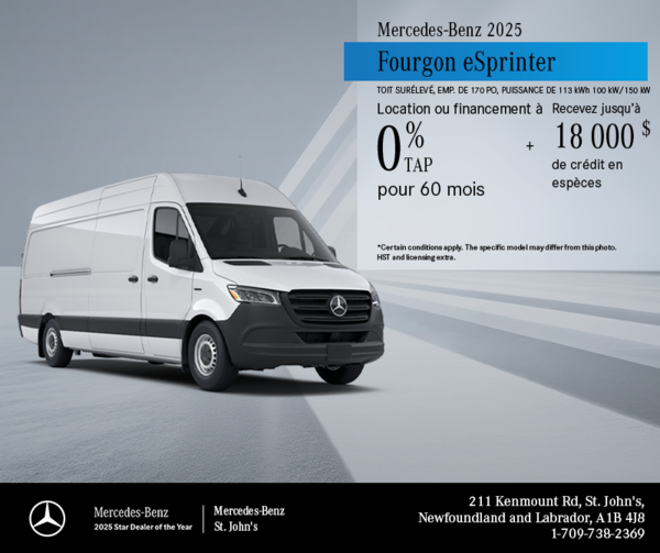 2025 eSprinter Cargo Van