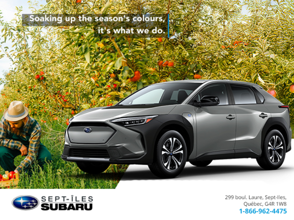 Subaru's Monthly Sales Event