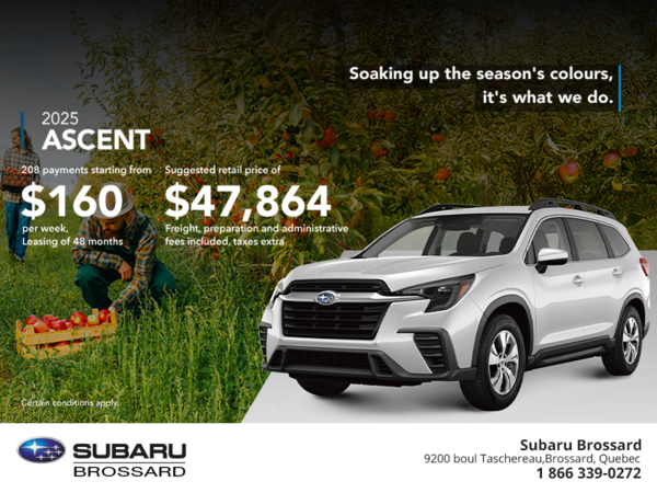 Get the 2025 Ascent today!