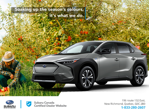 Subaru's Monthly Sales Event