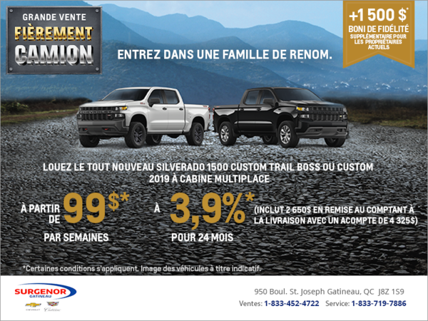 Grande vente fièrement camion