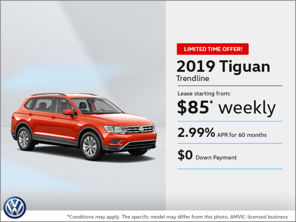 Get the 2019 Tiguan!