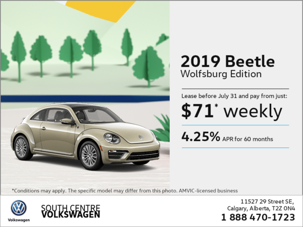 Get the 2019 Beetle!