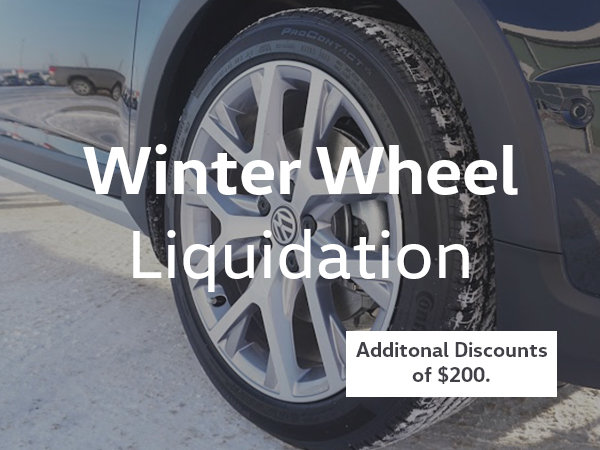Winter Wheel Set Liquidation