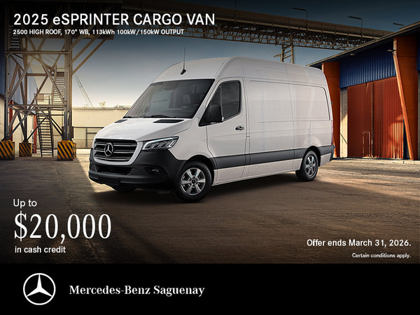 2025 eSpriner Cargo Van