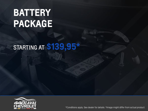 Battery Package
