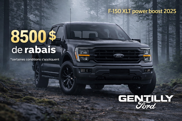 Promotion Janvier- F150 2025