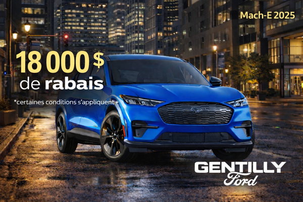 Promotion Janvier - Mach-E 2025