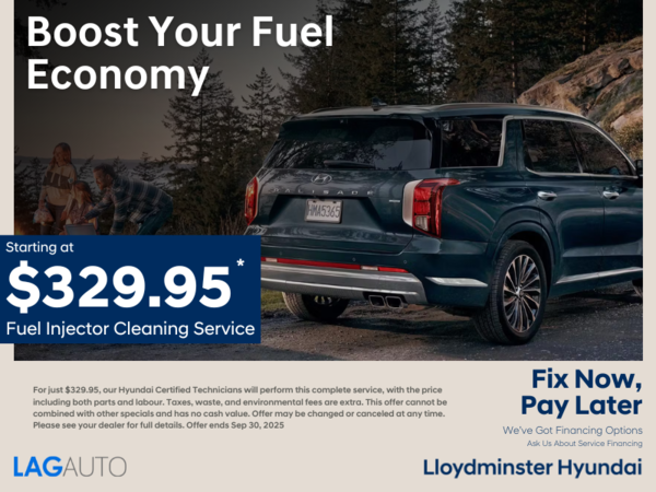 Enhance Performance & Efficiency for $329.95!