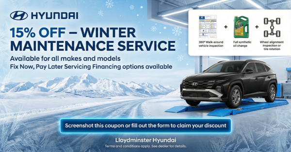 15% Off – Winter Maintenance Service