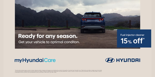 15% off – Fuel Injector Cleaner