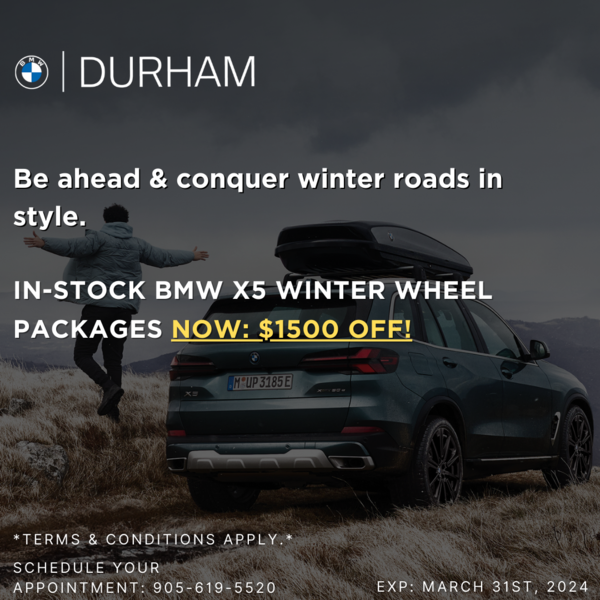 BMW X5 Winter Wheel Special