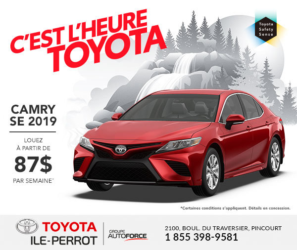 Camry SE 2019