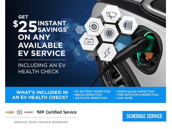 EV Health Check