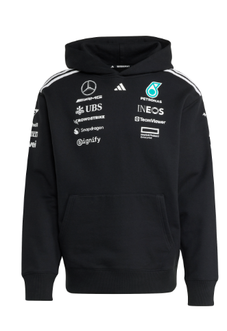 Team Hoodies 2025
