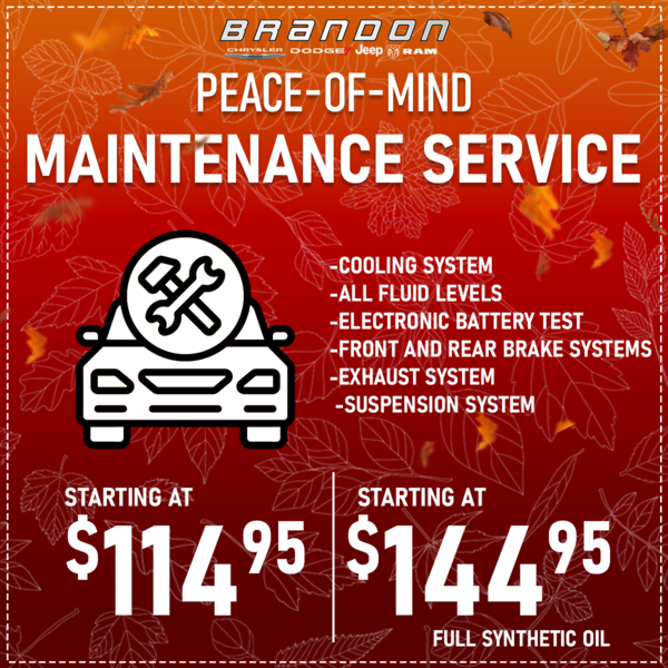 Peace of Mind Maintenance Service