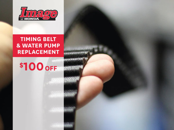 $100 Off Timing Belt & Water Pump Replacement
