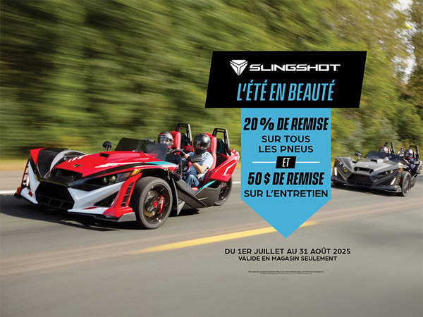 Alary Sport - Showstopper Summer