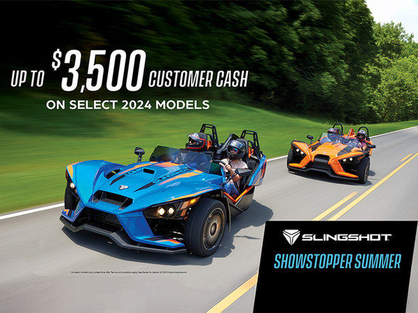 Alary Sport - Showstopper Summer