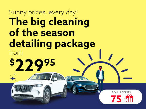 Take advantage of our Big cleaning of the season detailing package