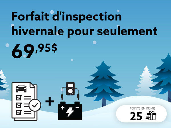 Choisissez le forfait d'inspection hivernale