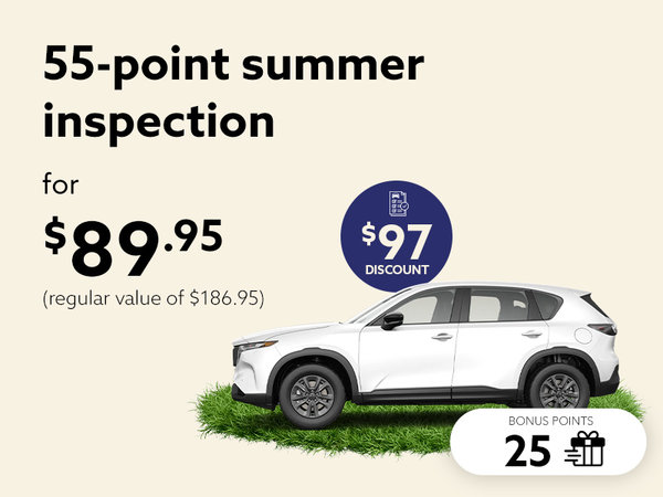 Hit the road with total peace of mind, with our 55-point inspection.