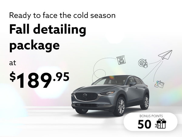 Take advantage of our Fall detailing package