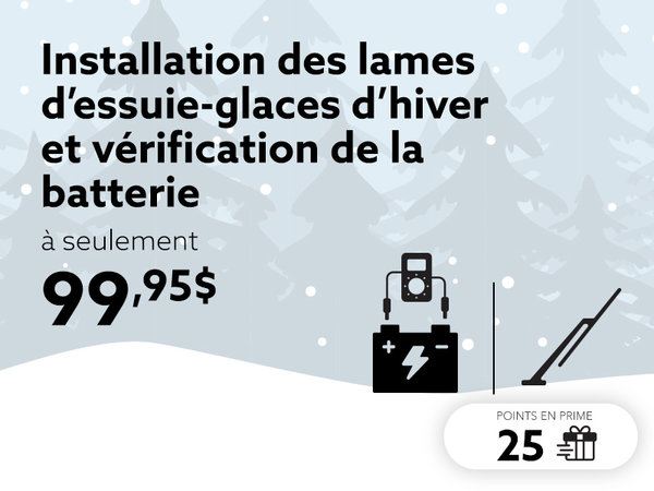 Soyez prêt pour l'hiver avec un démarrage fiable et une vision parfaite