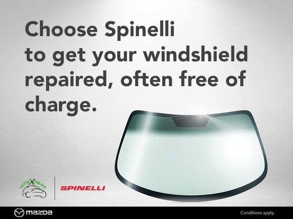 Have your windshield repaired by experts