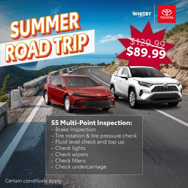 Summer Road Trip Inspection