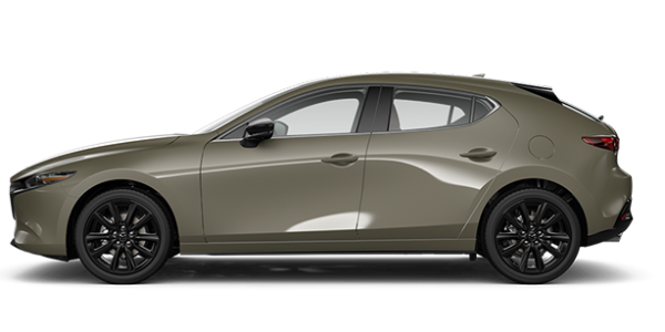 2025  3 Sport