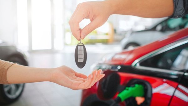 Your Complete Guide to Getting a Driver's License in Nova Scotia