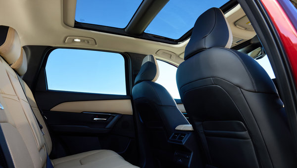 Tailored for Pets: How 2026 Interiors are Accommodating Four-Legged Passengers