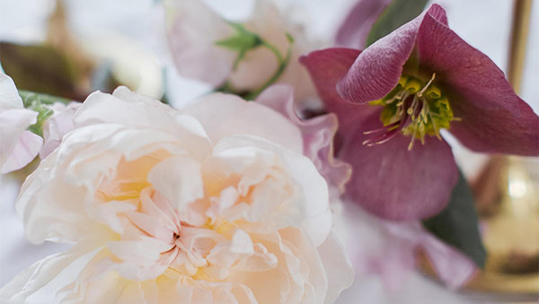 Vancouver's Best Florists