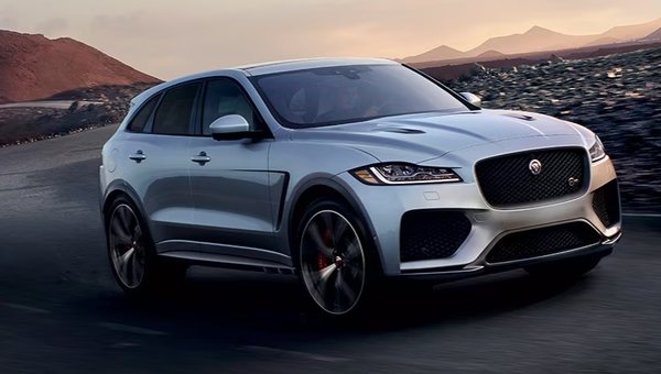 Learn more about Jaguar Protection Program