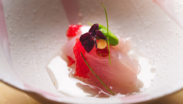 The Masterful Flavours of Masayoshi