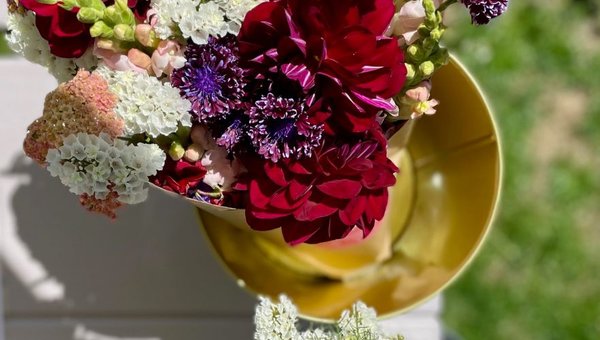 Savour Fall With These Farm & Garden Events