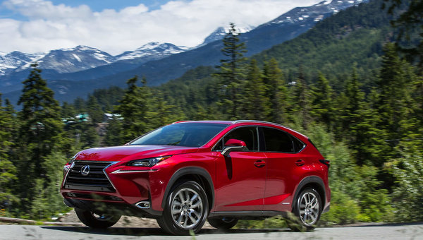 Lexus NX 2021 vs Audi Q5 2021: un luxe compact sans le prix pleine grandeur