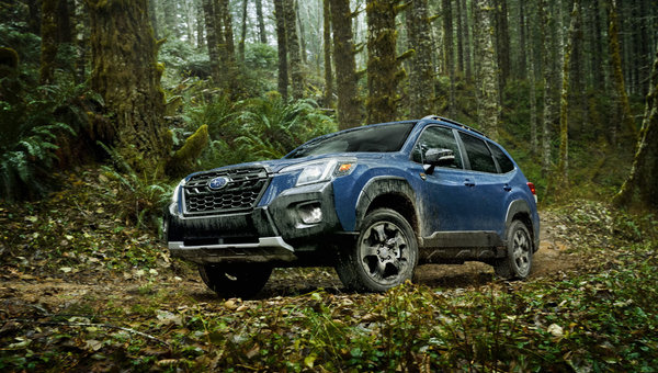 Tout ce que vous voulez savoir sur le Subaru Forester Wilderness 2022