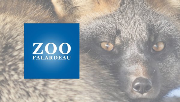 Intégral Subaru s’associe au Zoo de Falardeau : un partenariat en faveur du bien-être animal