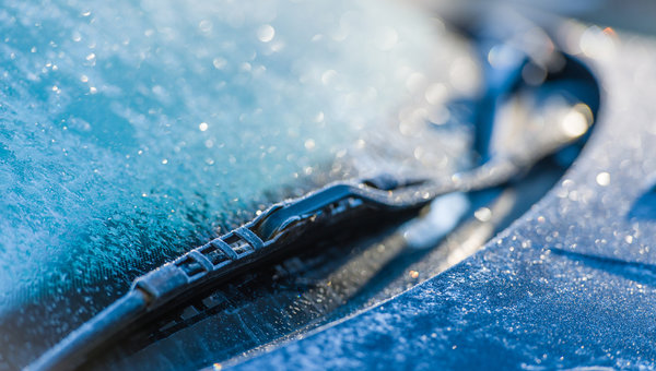 The best Lexus genuine accessories to protect your vehicle this winter