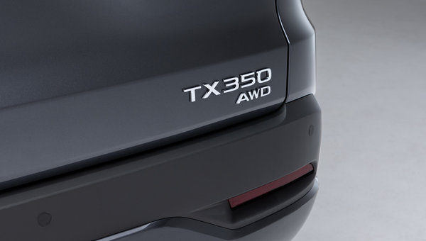 The Powertrain Diversity of the 2024 Lexus TX