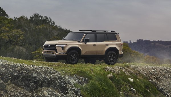 Which 2025 Lexus SUVs Can Tow Over 1,500 Pounds
