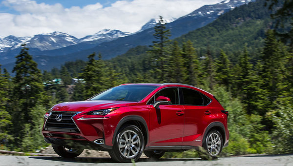 How do Lexus pre-owned vehicles stand out?