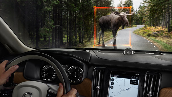 How does the Volvo Large Animal Braking Technology Work?