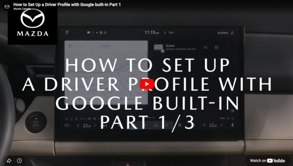 HOW TO SET UP A DRIVER PROFILE PART 1